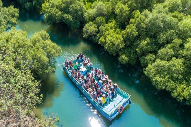 台版亞馬遜河~四草綠色隧道