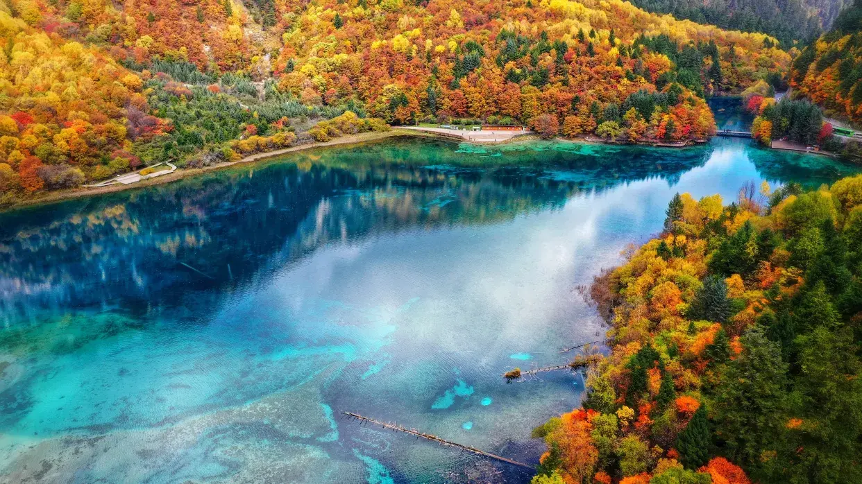 九寨溝五花海秋景