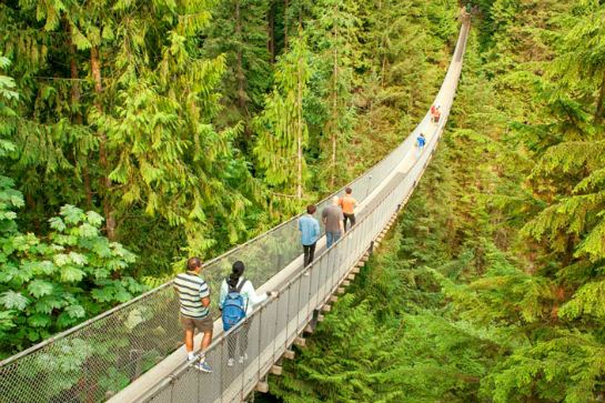 卡佩蘭奴吊橋公園(From_Official)