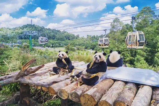 長隆野生動物世界