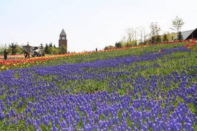國營瀧野鈴蘭丘陵公園
