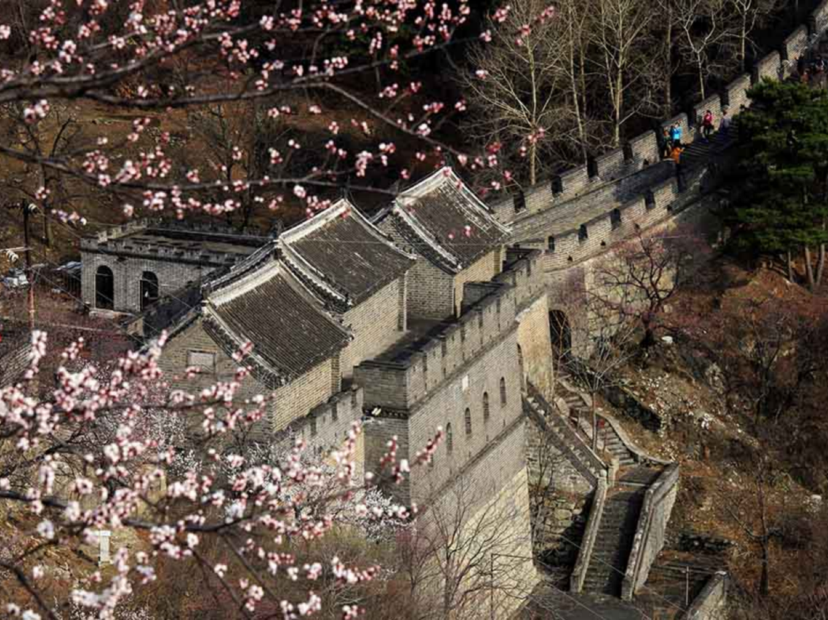慕田峪長城賞花