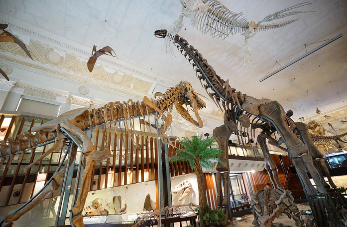 國立臺灣博物館~恐龍博物館