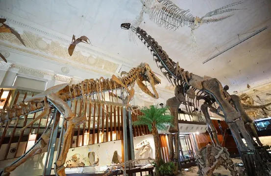 國立臺灣博物館~恐龍博物館