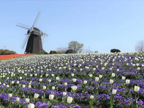 花博記念公園鶴見綠地~風車之丘