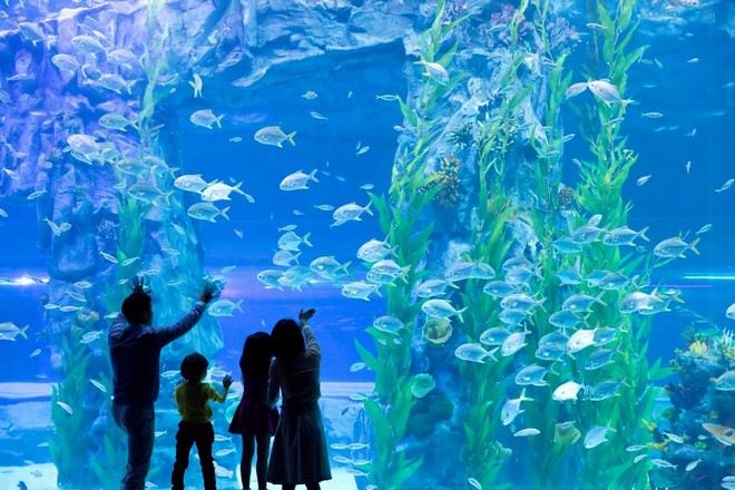 樂天世界水族館