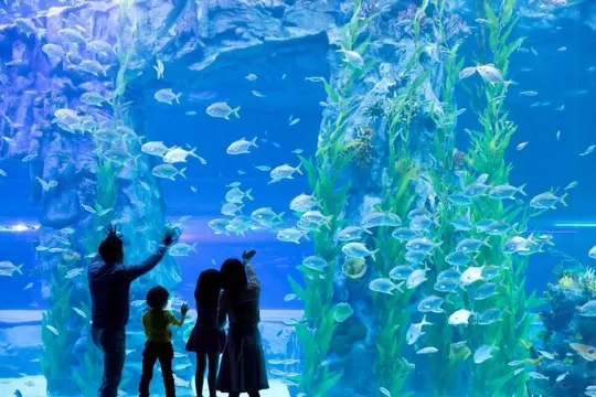 樂天世界水族館