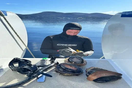 塔斯曼尼亞海鮮遊船