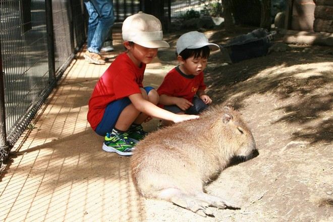 阿蘇奇趣動物園