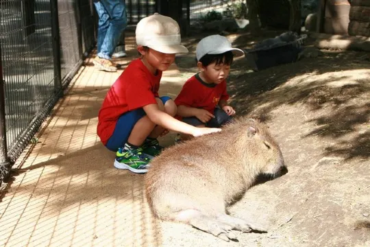 阿蘇奇趣動物園