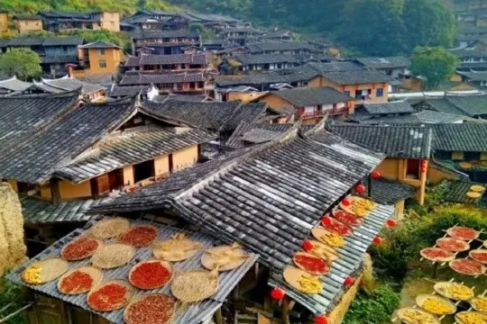 桂峰古村落~曬秋