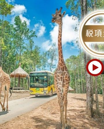 《精選》富國島悠閒度假6天團 *稅項全包* 無須簽證* 網紅體驗~穿"奧黛"國服於越式庭園打卡