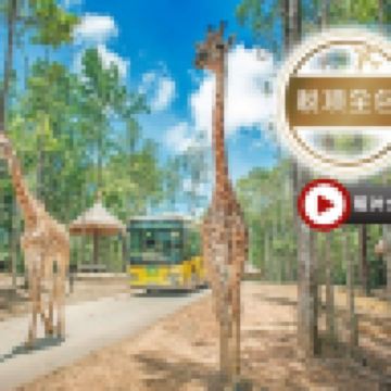 《精選》富國島悠閒度假6天團 *稅項全包* 無須簽證* 網紅體驗~穿"奧黛"國服於越式庭園打卡