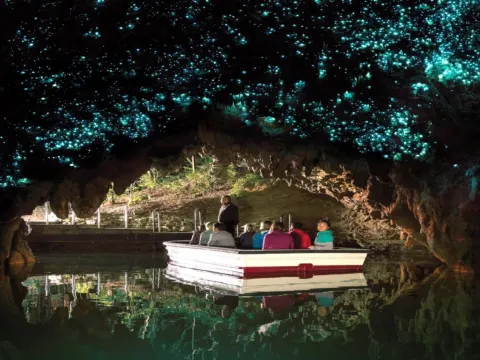 懷托摩鐘乳石洞及螢火蟲洞