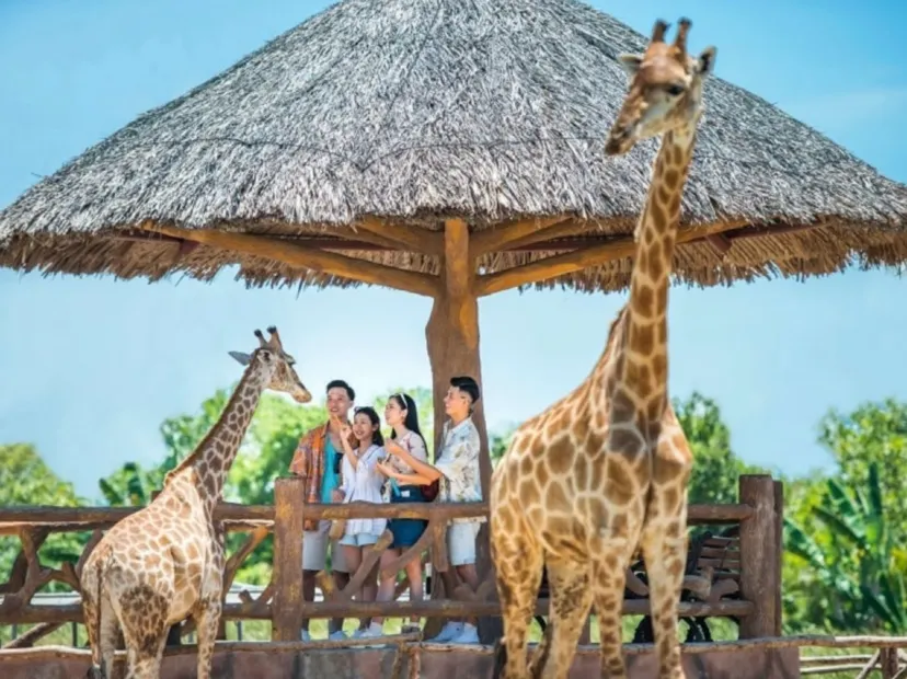 VinWonders Nam Hoi An主題樂園