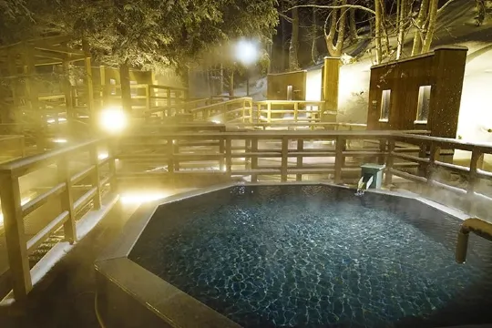 北湯澤綠之風溫泉酒店