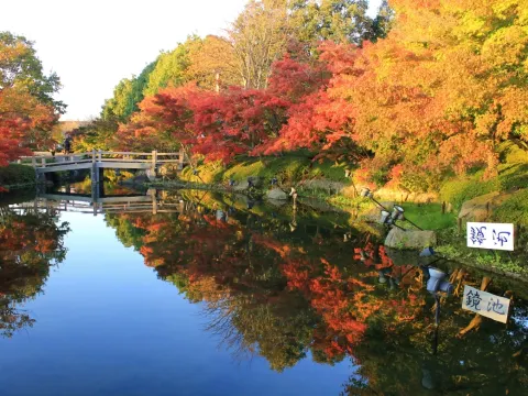 名花之里