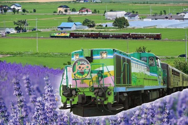 富良野Norokko 號薰衣草小車