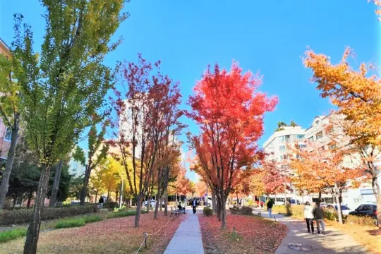 京義線林蔭道公園
