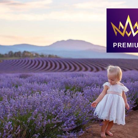 【平安夜🎄12月24日出發】塔斯曼尼亞、墨爾本體驗現代塵世之美 8天團/季節限定~增遊飄絲薰衣草莊園/指定日期內每二人同行可獲贈一個暖暖薰衣草熊"Bobbie Bear"/親身體驗採摘新鮮水果的樂趣