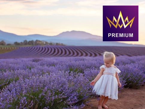 塔斯曼尼亞、墨爾本體驗現代塵世之美 8天團/季節限定~增遊飄絲薰衣草莊園/指定日期內每二人同行可獲贈一個暖暖薰衣草熊"Bobbie Bear"/親身體驗採摘新鮮水果的樂趣