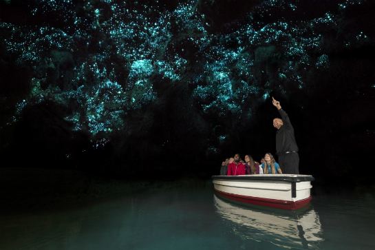 懷托摩鐘乳石洞及螢火蟲洞 (2)