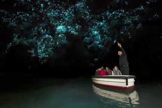 懷托摩鐘乳石洞及螢火蟲洞 (2)