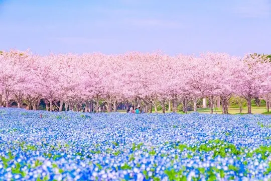 海之中道海濱公園