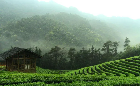 姑婆山國家森林公園