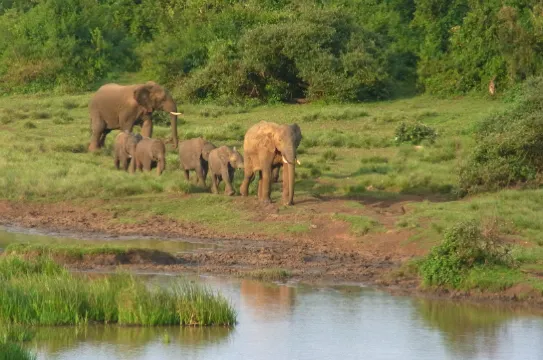 阿伯岱爾國家公園