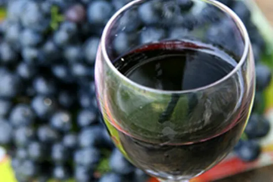 坡州山葡萄農園