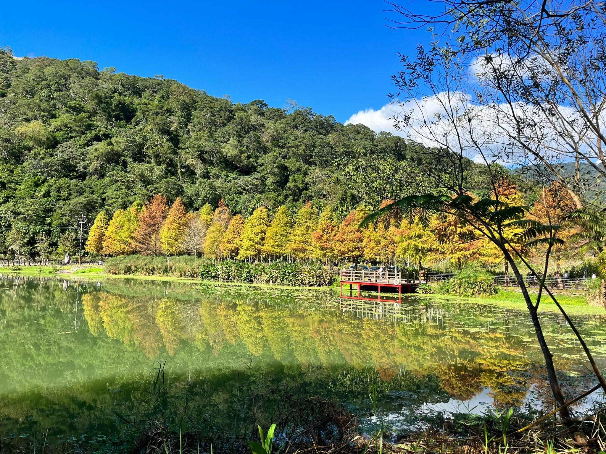 周年推廣 提升寒沐溫泉酒店# 台北+宜蘭玩樂體驗4天團|每位勁減-$250憑推廣碼【EA103】|【保證宜蘭溫泉酒店/5星寒沐酒店#】幾米廣場、溪和水產 、深坑老街、饒河街夜市、士林官邸花園、四四南村 周年推廣 提升寒沐溫泉酒店# 台北+宜蘭玩樂體驗4天團|每位勁減-$250憑推廣碼【EA103】|【保證宜蘭溫泉酒店/5星寒沐酒店#】幾米廣場、溪和水產 、深坑老街、饒河街夜市、士林官邸花園、四四南村