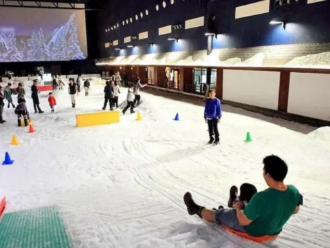 Dream World 夢幻真雪城