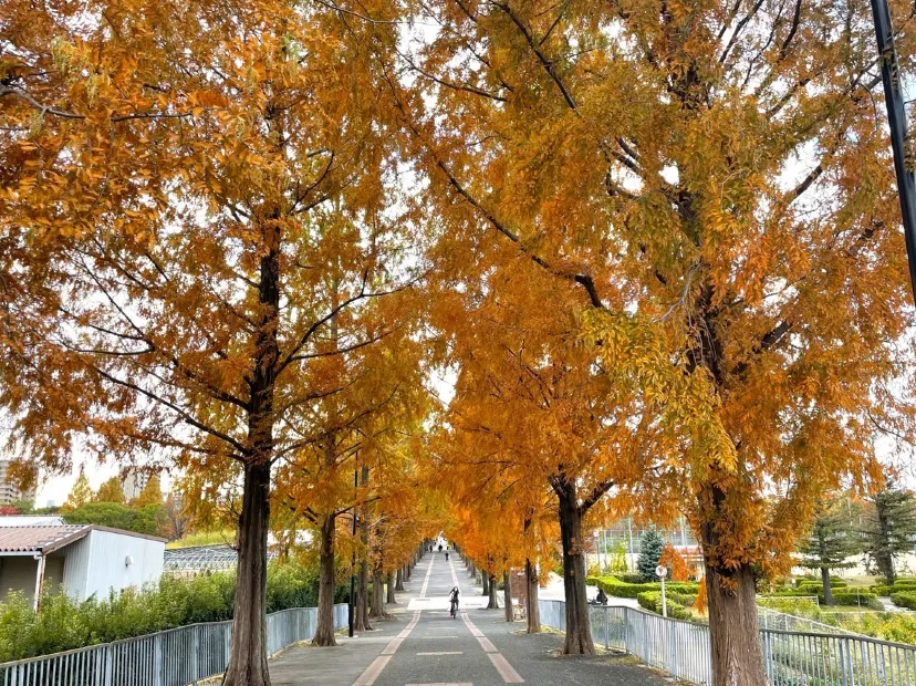 花博記念公園鶴見綠地