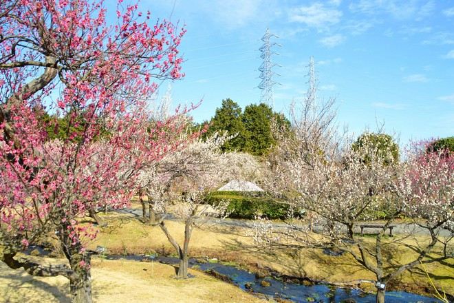 小田原FLOWER GARDEN