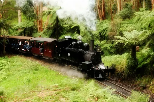 乘古董蒸氣火車