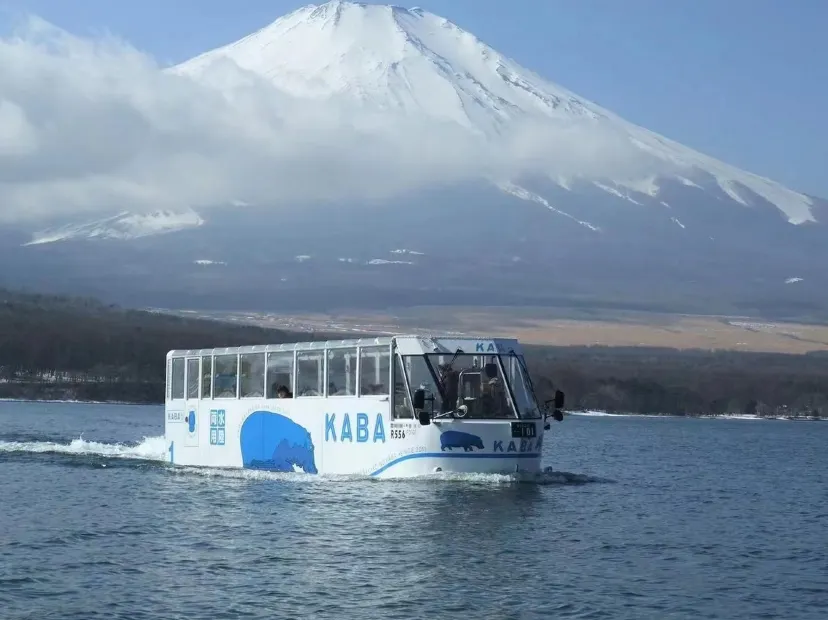 山中湖河馬水陸兩用巴士