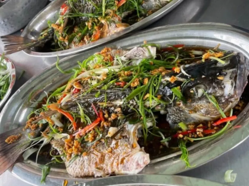 魚排特色海鮮餐#【清蒸龍虎斑魚+烤螃蟹(每人1隻)】