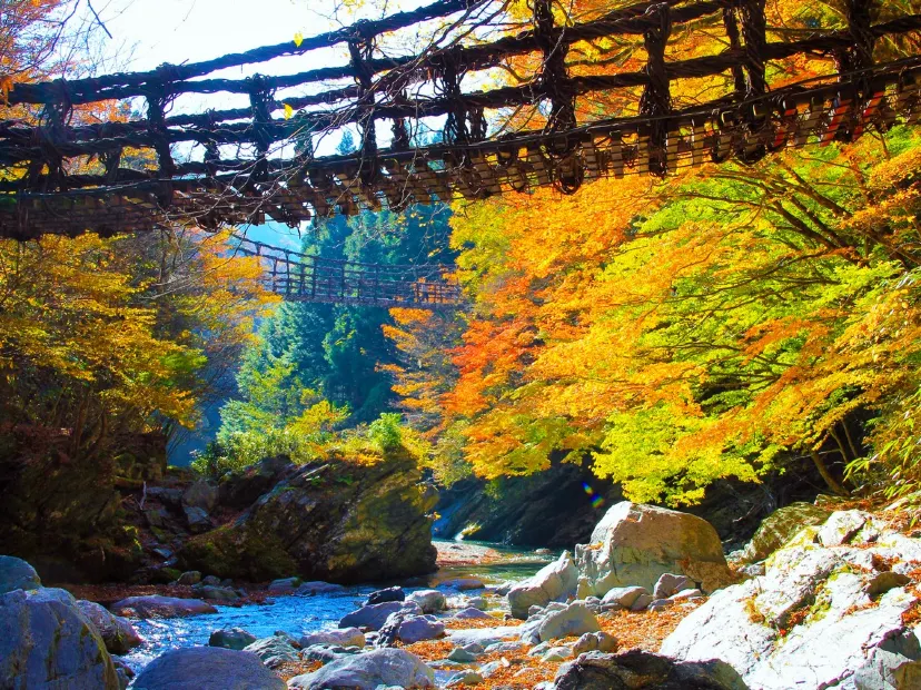 祖谷溪谷~蔓藤橋