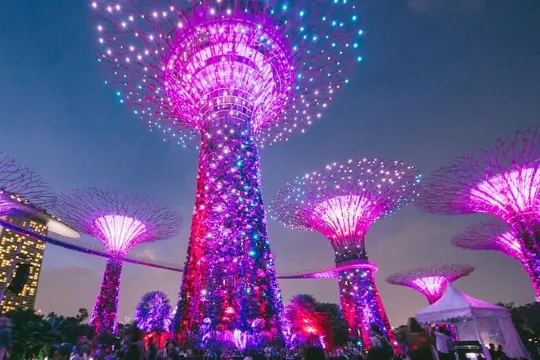 擎天樹~花園狂想曲燈光Show