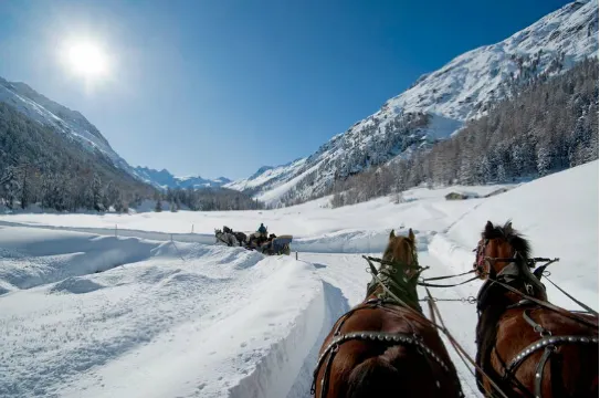 乘著馬車遊覽羅莎河谷