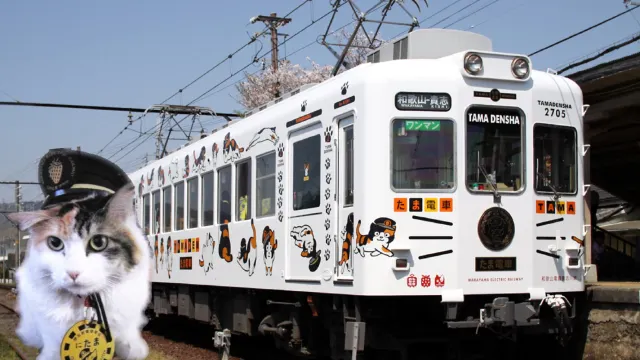 Nitama 猫站長車站