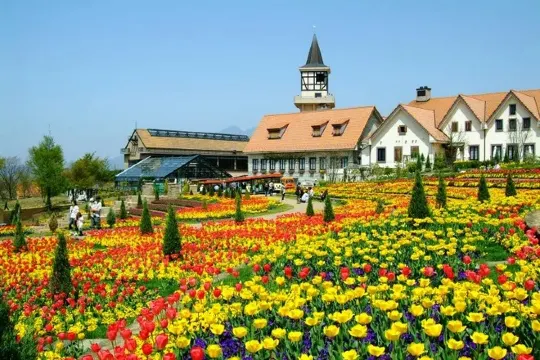 飄零燕四季花園