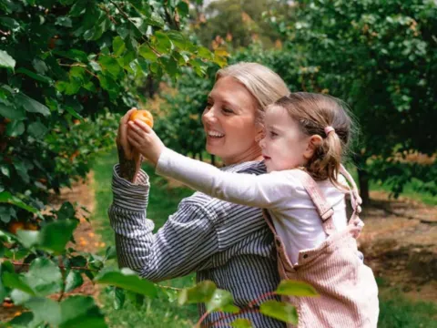 Rayner's Orchard雷納果園
