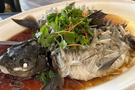 「魚皇」忘不了魚