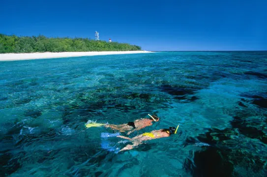 大堡礁浮潛
