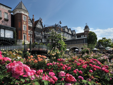 白之戀人朱古力城堡