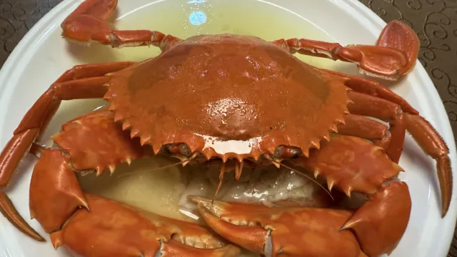 新鮮崖門水蟹