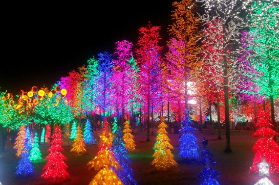 LED數碼夢幻森林