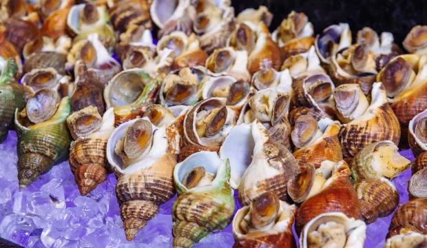 酒店豪華自助餐